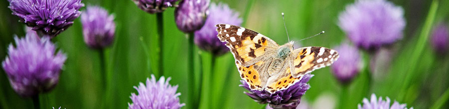 Seit 2020 sind wir mit unserer Praxis für Sie da.